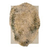 _0001_nanimarquina_alga_grey-copia.jpg