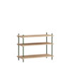 _0006_MOEBE_Shelving-System_NB_S.65.1.A_Oak_Pine-Green_High-Res.jpg