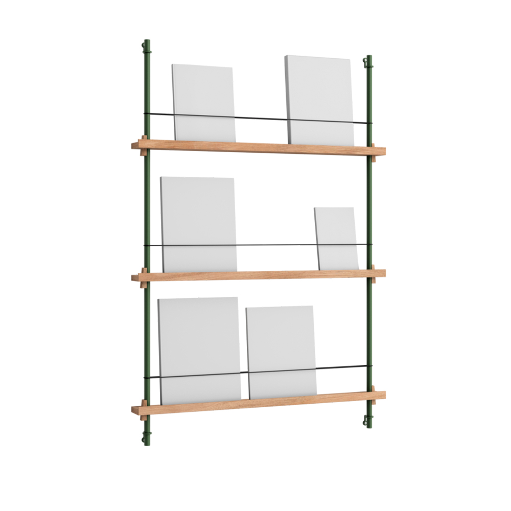 _0017_MOEBE_Magazine-Shelving_NB_MS.115.1_Oak_Pine-Green_High-Res_01.jpg