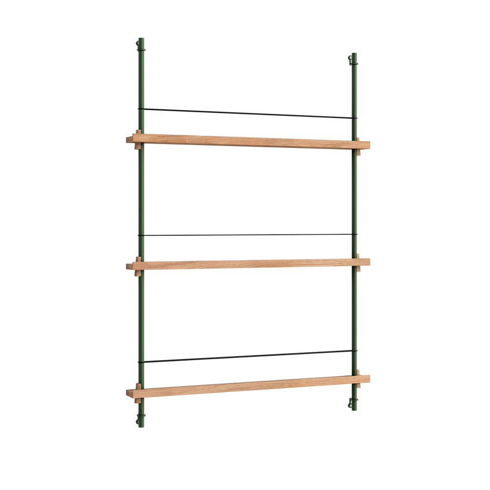 _0018_MOEBE_Magazine-Shelving_NB_MS.115.1_Oak_Pine-Green_High-Res_02.jpg